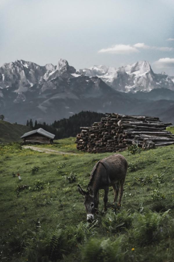 Gaestehaus Eder Hotell Sankt Martin am Tennengebirge Exteriör bild